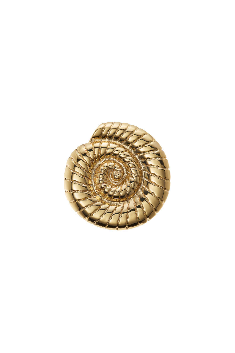 SHELL CLIP -24K GOLD-